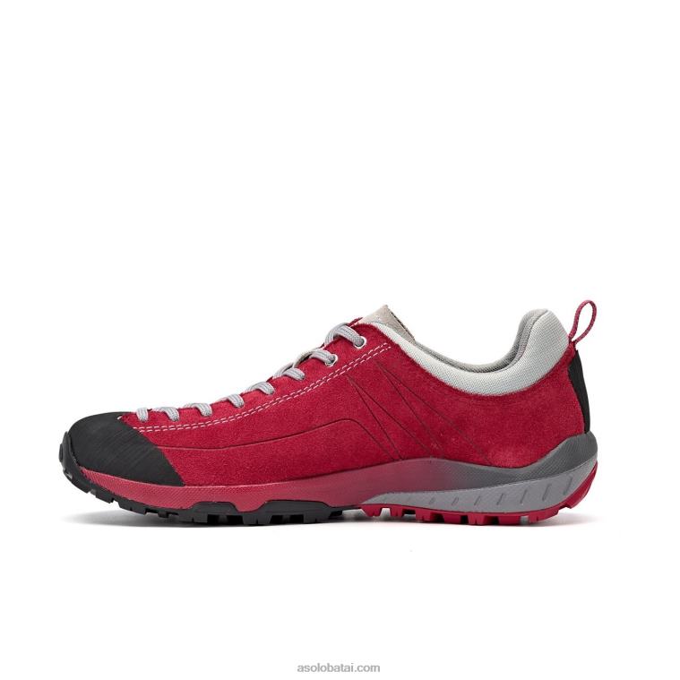 Asolo gerbera HT2BX126 kosmoso gv moterys