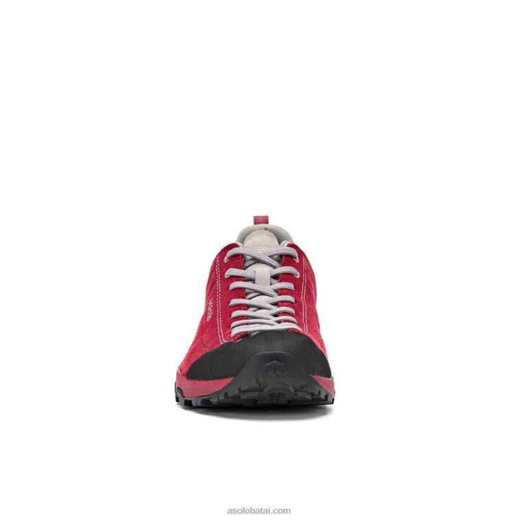 Asolo gerbera HT2BX126 kosmoso gv moterys