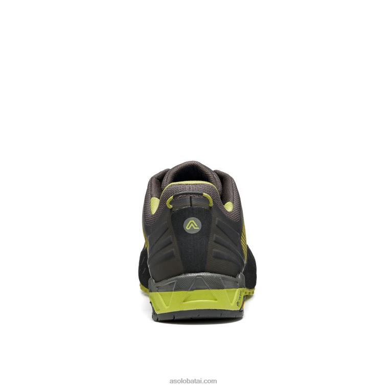 Asolo žalia oazė/smokey green HT2BX65 eldo vyrai