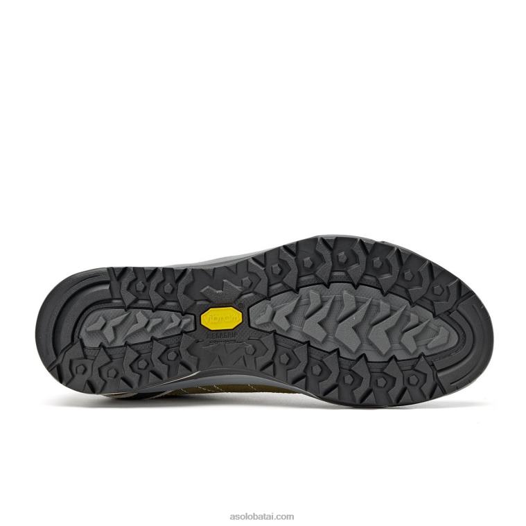 Asolo triufelis/sidabras HT2BX86 nucleon gv men