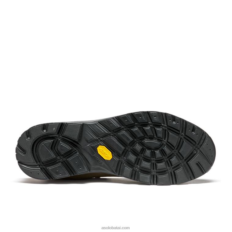 Asolo žievė/akmuo HT2BX163 ieškantysis gv vyrai